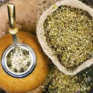 Picture for song 'yerba mate green dna advance alchemy 792023' by artist 'mcmakktenicetxtheprince'