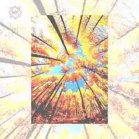 Picture for song 'Fall Air ' by artist 'Mr.Kooman'