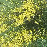 Picture for song 'Promisses' by artist 'Peter Kosta's Galaxy Rock Band'