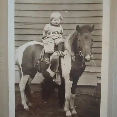 Picture for song 'Stranded' by artist 'The Scarlet Carsons'