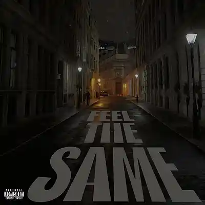 Picture for song 'Feel The Same' by artist 'Tr3ple A'
