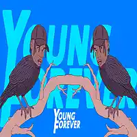 Picture for song 'Ocean (Prod. By Young Forever Beats)' by artist 'Young Forever Beats'