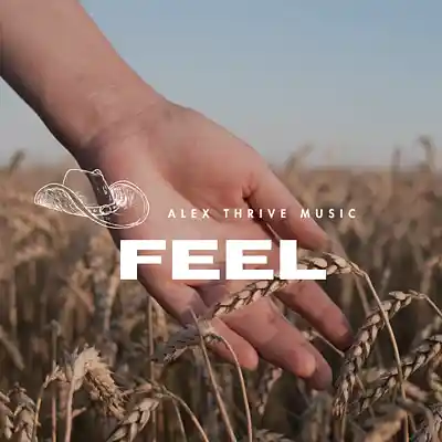 Picture for song 'Feel (Dylan Gossett Country Rap Type Beat)' by artist 'Alex Thrive Music'