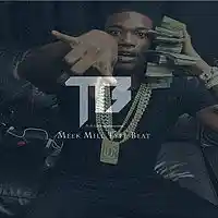 Picture for song 'Jungle' by artist 'Callmetag215Beats'