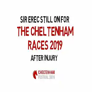 Picture for song 'Sir Erec Still On For The Cheltenham Races 2019 Af' by artist 'Cheltenham Races 2019'