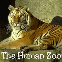 Picture for song 'The Human Zoo (Remastered)' by artist 'D E Farmer'