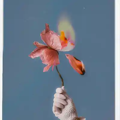 Picture for song 'Choose You' by artist 'Geoffrey Collins'