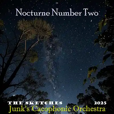 Picture for song 'Nocturne Number Two' by artist 'Junk aka HerrEthik'