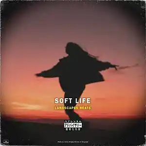 Picture for song 'Soft Life' by artist 'Landscapes beats'