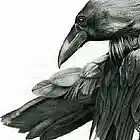 Picture for song 'Raven of Death' by artist 'LEGACEYBEATS'