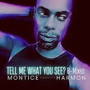 Picture for song 'Tell Me What You See? (B-mix)' by artist 'Montice Harmon'