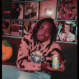 Picture for song 'cochise x ssgkobe type beat "huvi"' by artist 'Prod By Headshot'