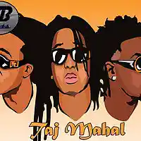 Picture for song 'Taj Mahal' by artist 'SB on tha Track'