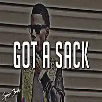 Picture for song '*SOLD* Got A Sack (Prod. By @SpeakerBangerz)' by artist 'Speaker Bangerz'