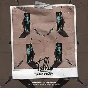 Picture for song 'TALLIN 96 BPM' by artist 'Beats on SteelBeatz.com'