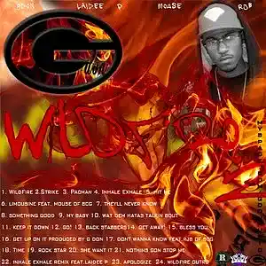 Picture for song 'Keep It Down' by artist 'The Don Productions'