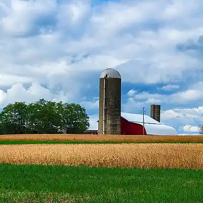 Picture for song 'Green Fields' by artist 'Tom Bower'