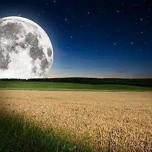 Picture for song 'September Sky' by artist 'Steampipe Studio'