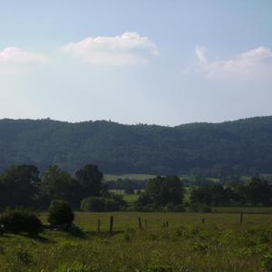 Picture for song 'Without You' by artist 'Sarah B Stites'