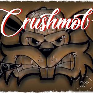 Picture for song 'Diamondz' by artist 'crushmob'