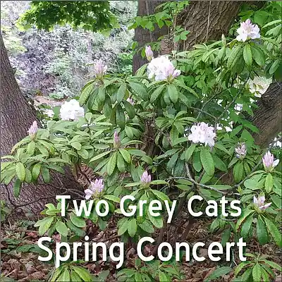 Picture for song '11-Ramblin' Fever' by artist 'Two Grey Cats'
