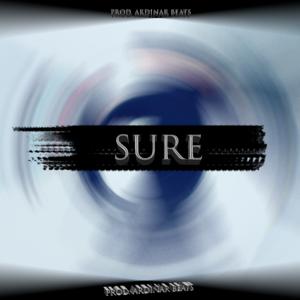 Picture for song 'Sure' by artist 'Ardinar Beats'