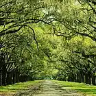 Picture for song 'MS (prod. by Axis Beats) 71 bpm' by artist 'Axis Beats (US)'