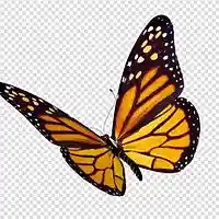 Picture for song '-global- prod. cxllins' by artist 'Cash Cxllins'