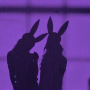 Picture for song 'Bad Bunny Type Beat "Bunny"' by artist 'Cort Beats 2'