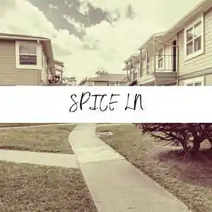 Picture for song 'Spice Ln (Maxo Kream Type Beat) - Devezin.com' by artist 'Devezin'
