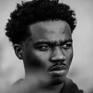 Picture for song '"Elemental" Roddy Ricch Type Beat' by artist 'DiHzzie'