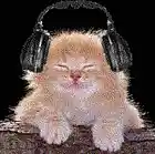 Picture for song 'FOLKY JAZZ BOP' by artist 'Dr. Bob's Jazz - Benefit Boppin' Quartet - JBBQ'