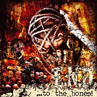 Picture for song 'POINTLESS REVELATION' by artist 'E.N.D. (Band)'