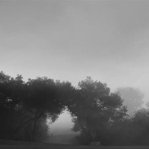 Picture for song 'You're in Sherman Heights and That's a One-Way Str' by artist 'Gagmesharkoff'