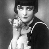 Picture for song 'Peach' by artist 'Graham's Cat'
