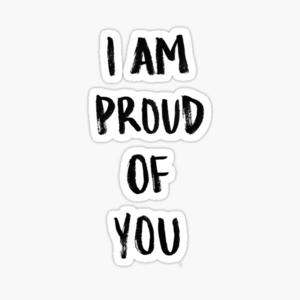 Picture for song 'PROUD OF YOU' by artist 'Just Another Enemy'