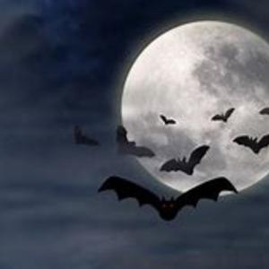 Picture for song 'Dracula Moon' by artist 'Ian Bullman'