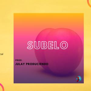 Picture for song 'Subelo' by artist 'Julay Produciendo'