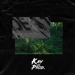 Picture for song 'Tropical (Prod. by Kay on Prod.)' by artist 'Kay on Prod.'