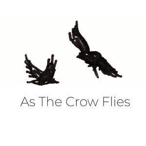 Picture for song 'As the Crow Flies' by artist 'Kori Riesenweber'