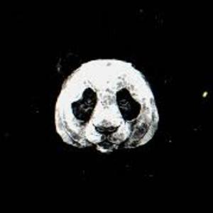 Picture for song 'Panda' by artist 'Metronome Beats'
