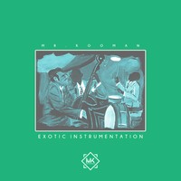 Picture for song 'Exotic Instrumentation ' by artist 'Mr.Kooman'