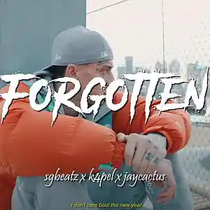Picture for song 'Forgotten - Kay9ine x SwitchOTR Type Beat 2023' by artist 'SG Beatz'