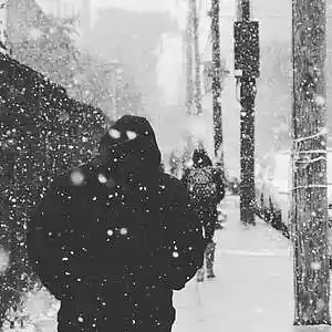 Picture for song '"Anyday" Beat for Sale' by artist 'whoDeanyBeatz'