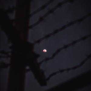 Picture for song '" Free em" Beat for Sale' by artist 'whoDeanyBeatz'