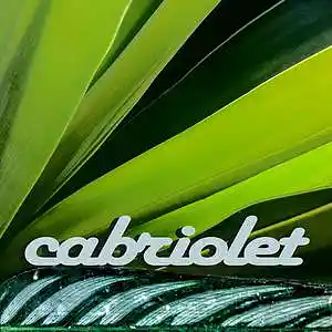 Picture for song 'Cabriolet' by artist 'Alex Cebe'