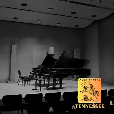 Picture for song 'Soft Piano Melody Ballad' by artist 'Alex Thrive Music'
