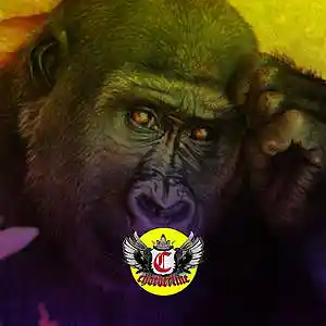 Picture for song 'COGITATION (Post Malone Tyla Yaweh Type Beat)' by artist 'Chorderline'