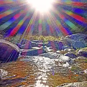 Picture for song 'Morning Praises' by artist 'Daniel D. (David) McWilliams'