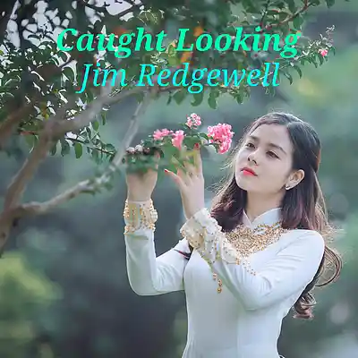 Picture for song 'Caught Looking' by artist 'Jim Redgewell'